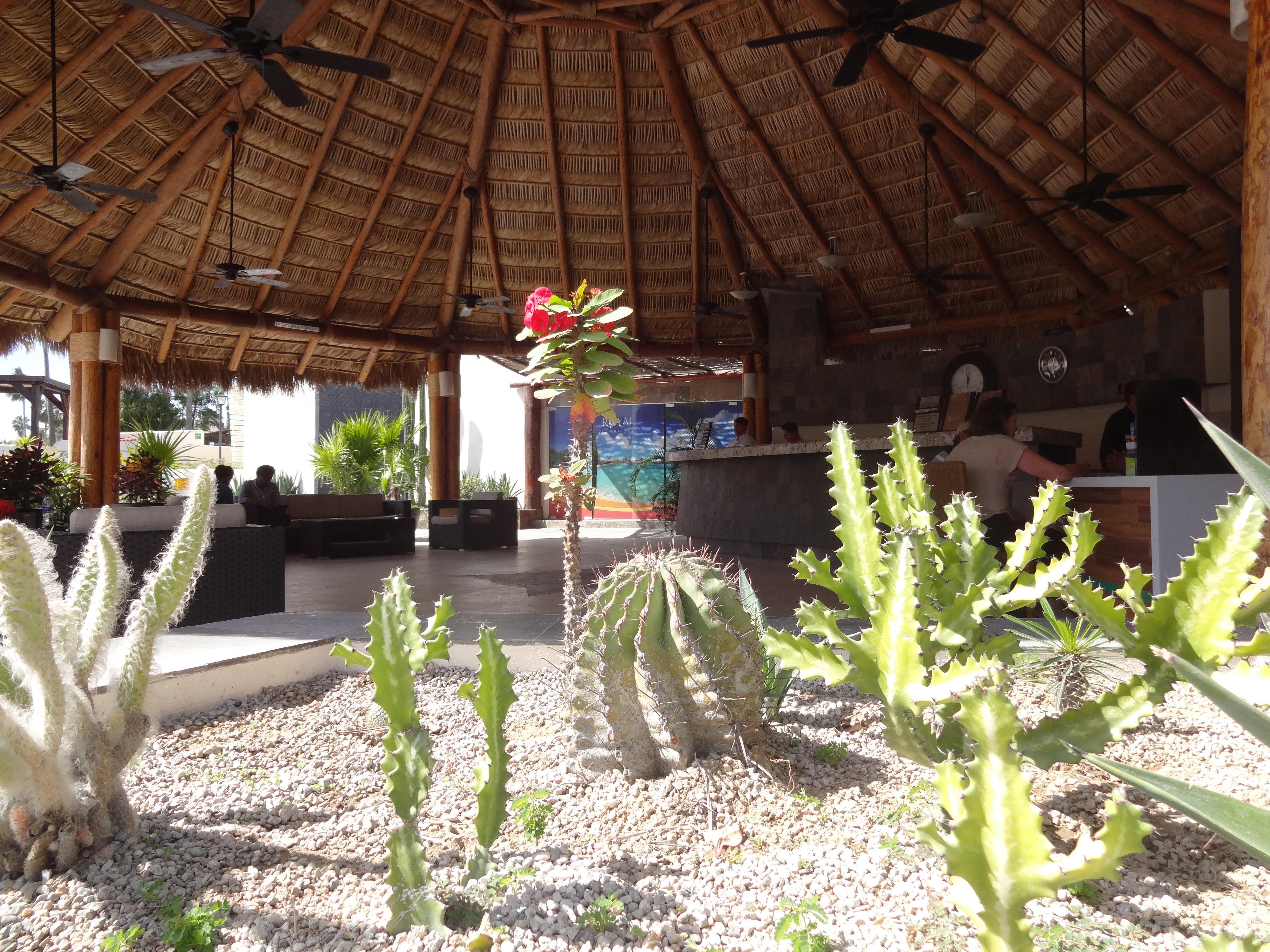 Park Royal Homestay Los Cabos Сан-Хосе-дель-Кабо Екстер'єр фото